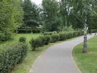 Sample file: A walking path in a park